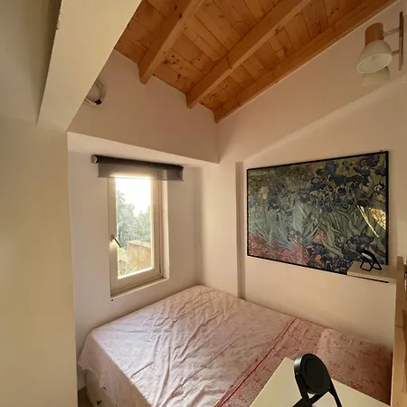 La Casa Tra Gli Alberi E Il