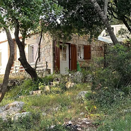 بيت للعطل La Casa Tra Gli Alberi E Il