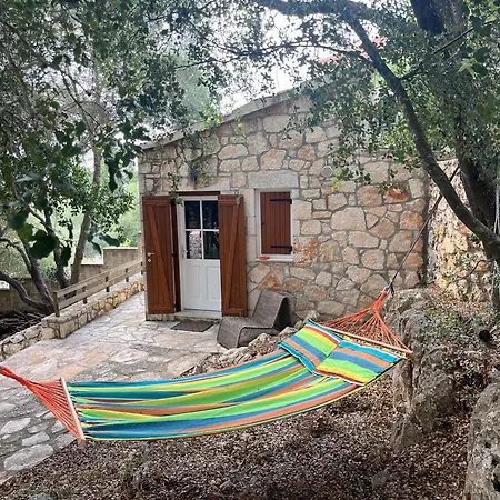 La Casa Tra Gli Alberi E Il Fiskardo