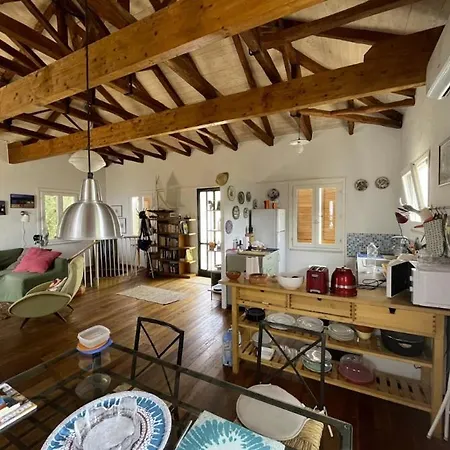 La Casa Tra Gli Alberi E Il Nyaraló