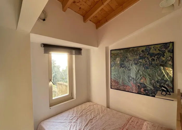 La Casa Tra Gli Alberi E Il